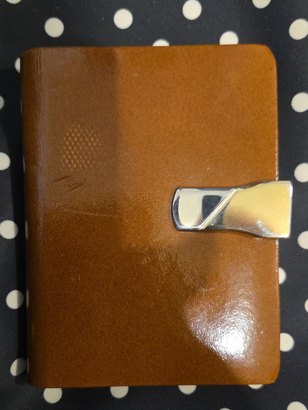 Leather Wallet-Style Phone Case in Tan with Silver Clasp